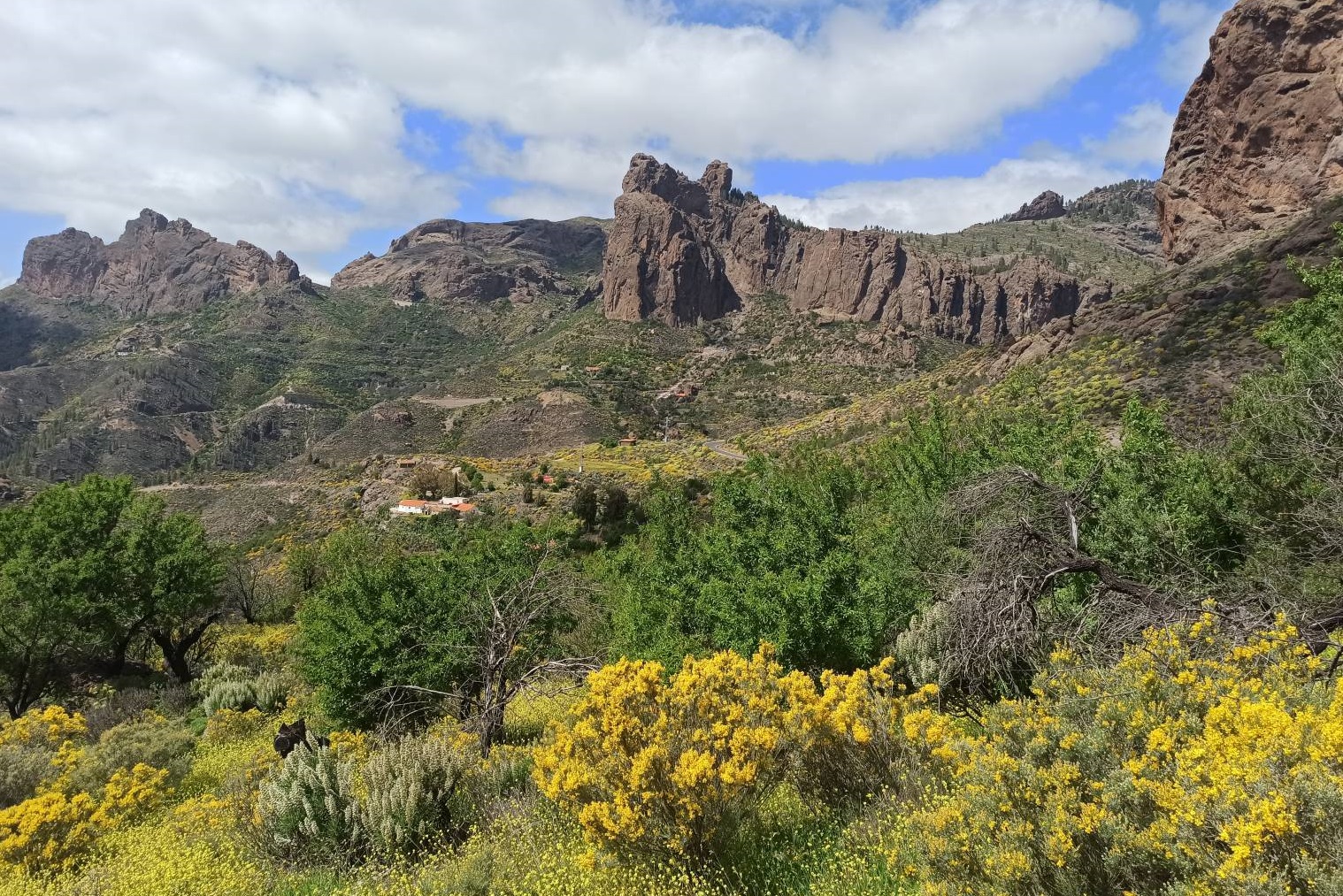 Gran Canaria Landschaft