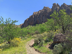 Felsen auf Gran Canaria